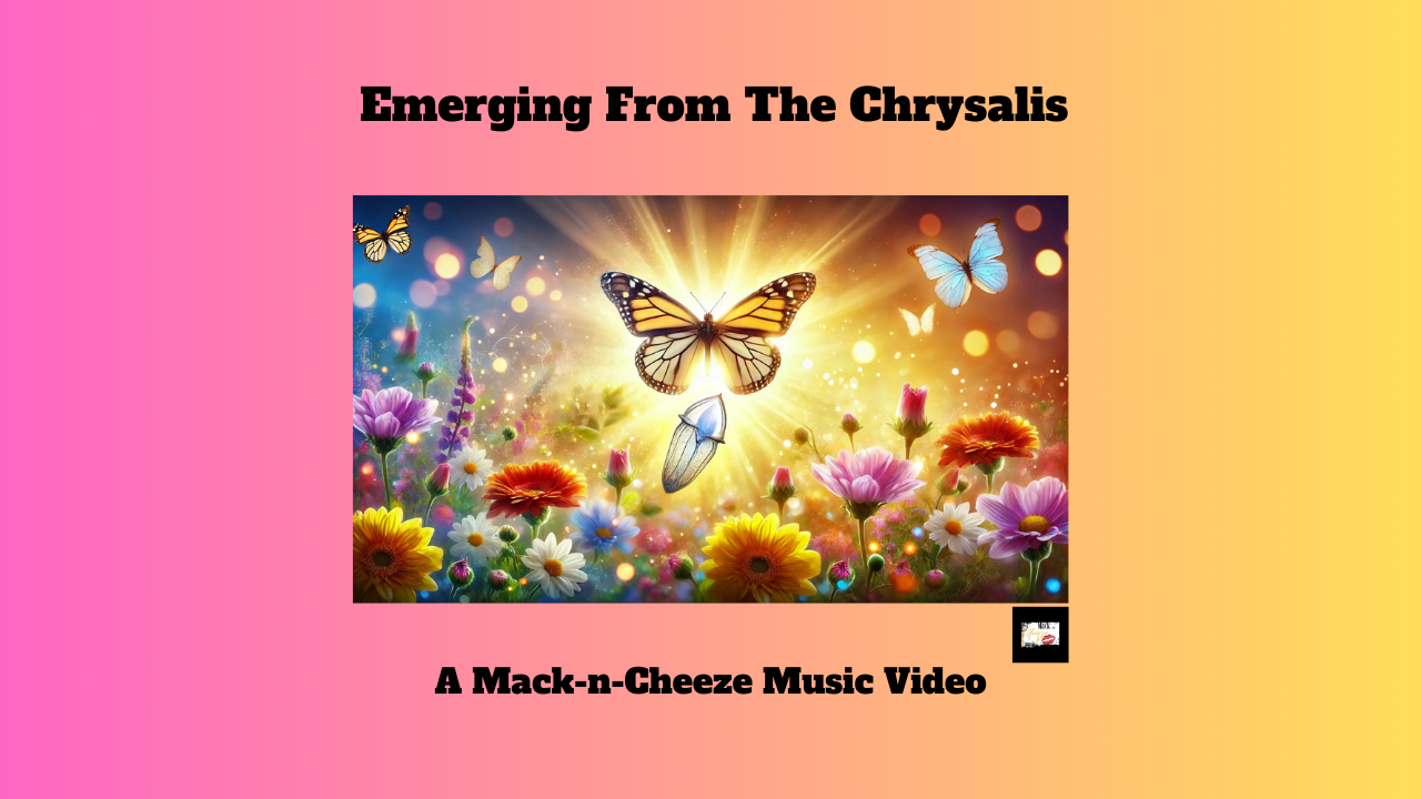 Emerging From The Chrysalis