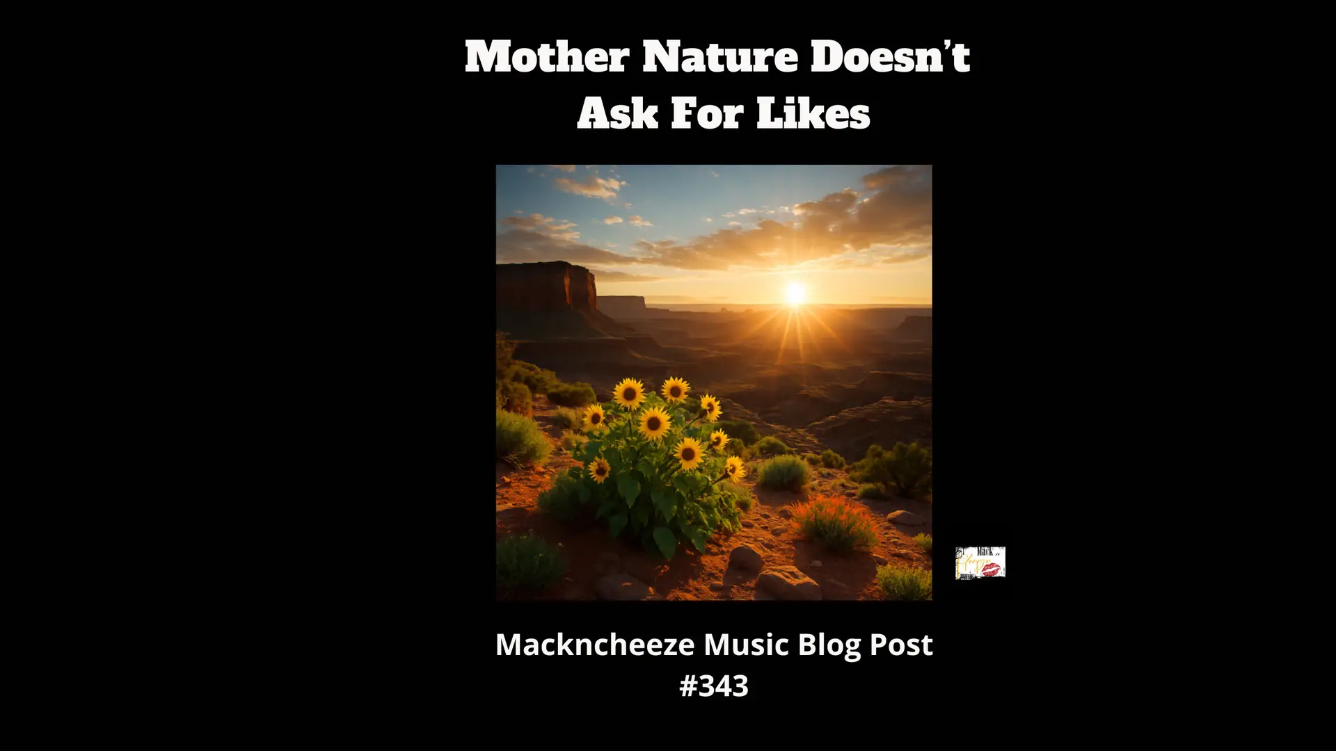 Mother Nature Doesn’t Ask for Likes : Seven Creative Laws