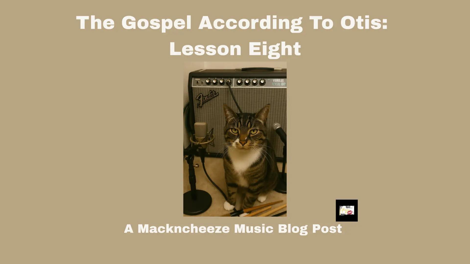 The Gospel According to Otis: Lesson Eight – A Mackncheeze Music Blog Post featuring Otis the cat, studio wisdom, and creative inspiration.